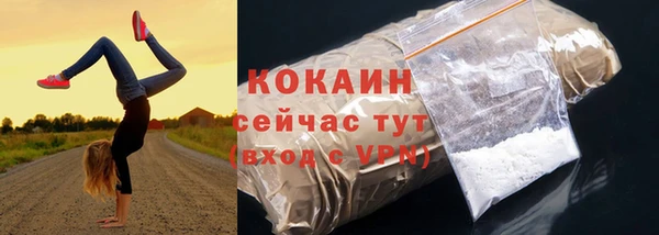 кокс Няндома